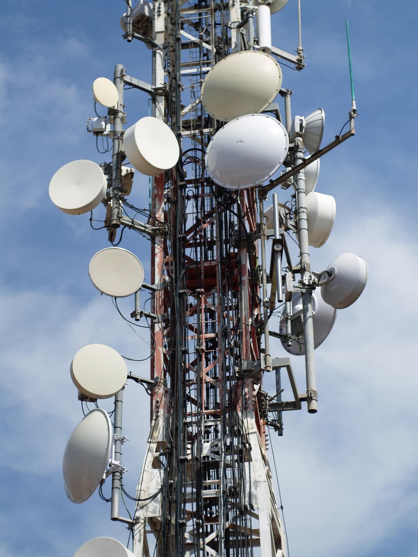 Network Services