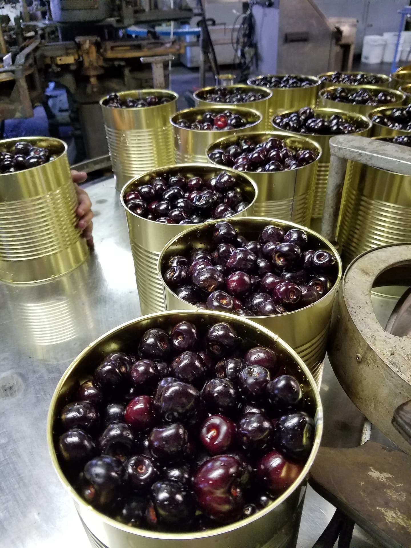 Agricultural Export